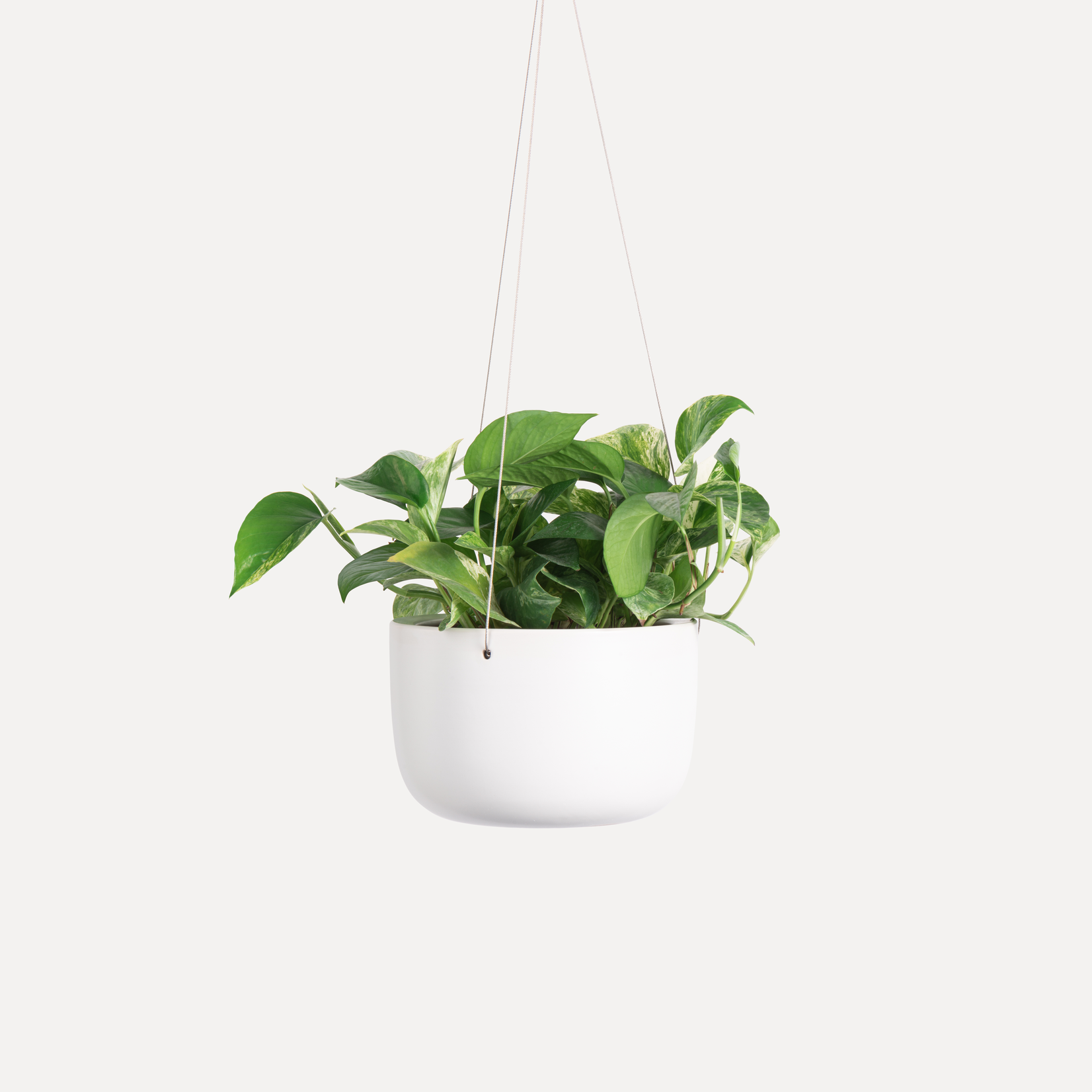 Ceramic Hanging Planter White 8"