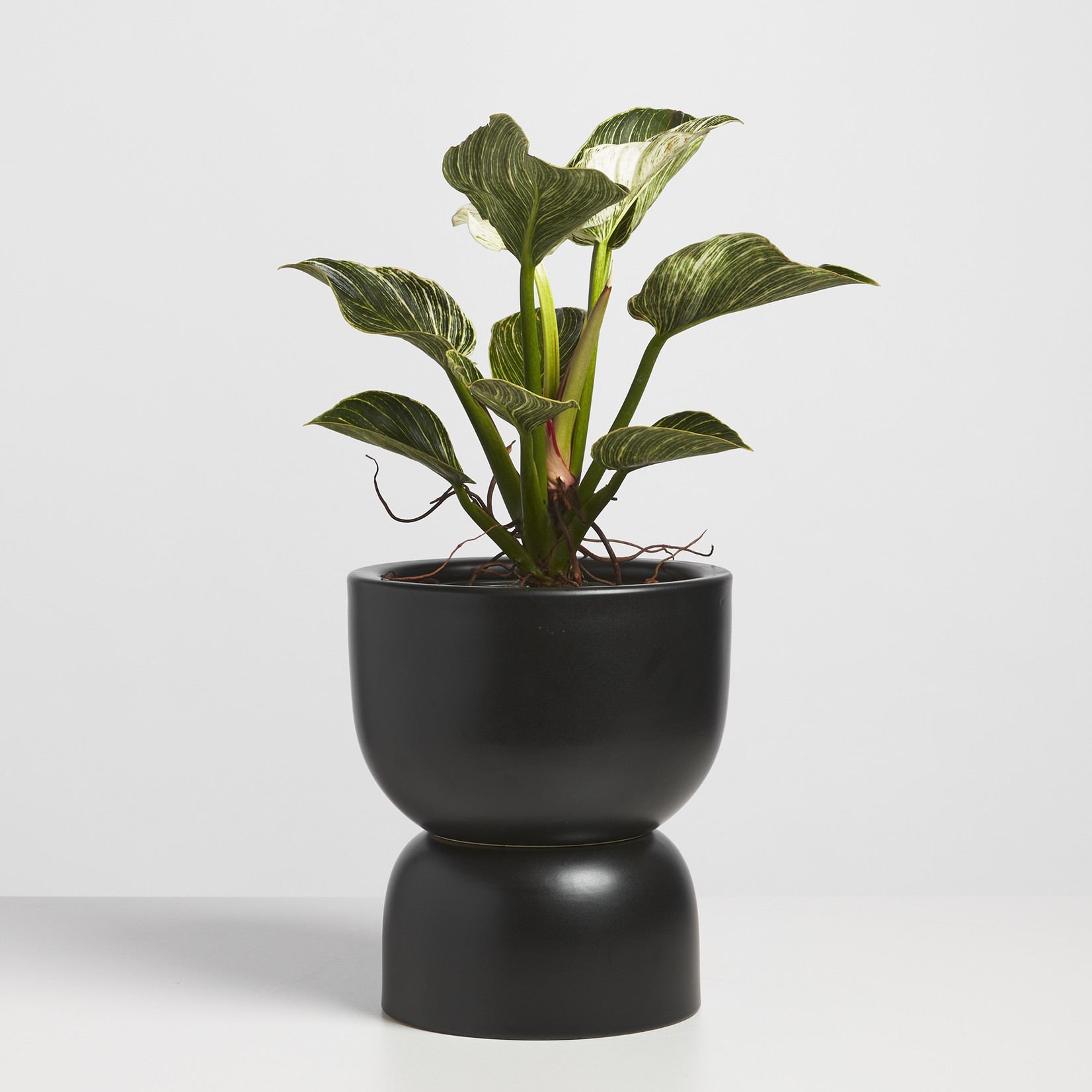 Ceramic Hourglass Planter - Black 9"