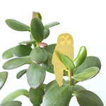 Brass Owl Plant Animal
