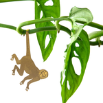 Brass Spider Monkey Plant Animal