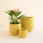 Parker Pot - Palm Speckle