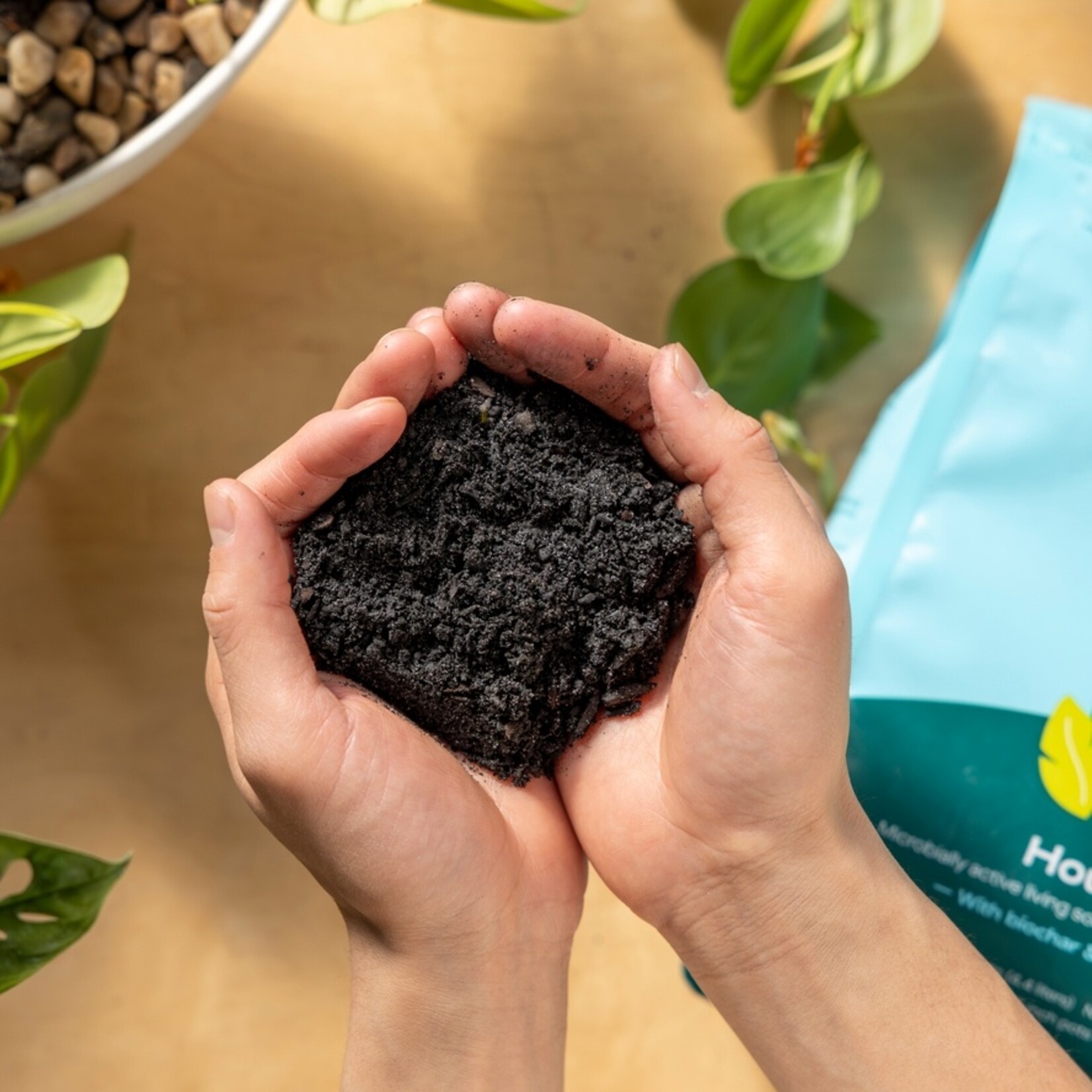 Rosy Soil Rosy Soil 4 qt Organic Indoor Potting Soil Mix