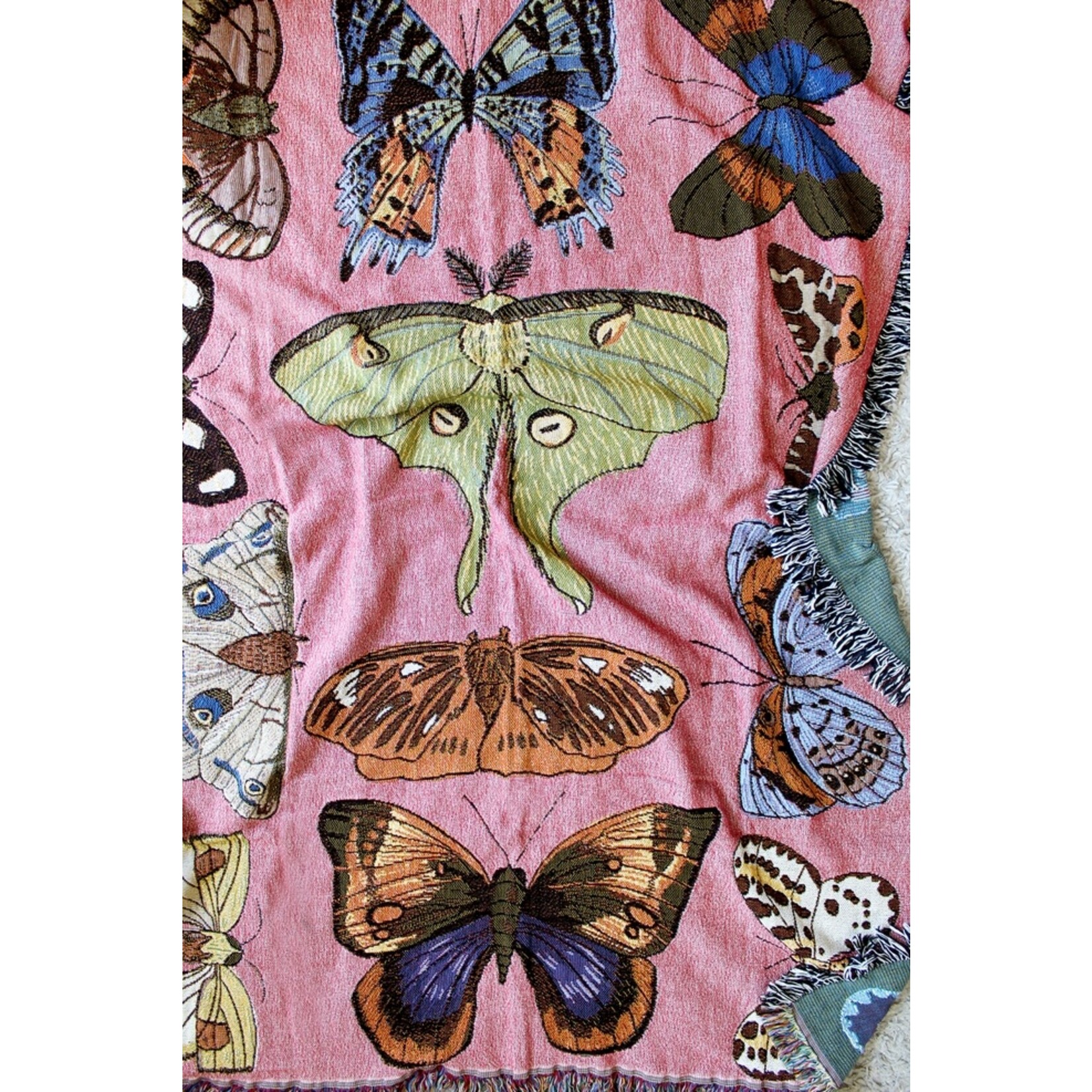 Moth Still Life Pink Tapestry Blanket