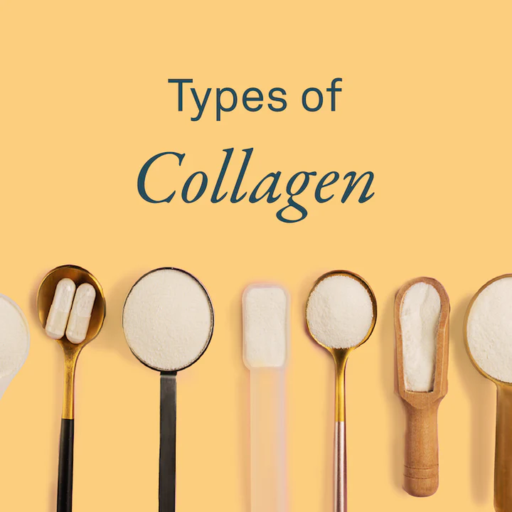 Types of Collagen: What’s the difference and which collagen do you need? by Organika Health