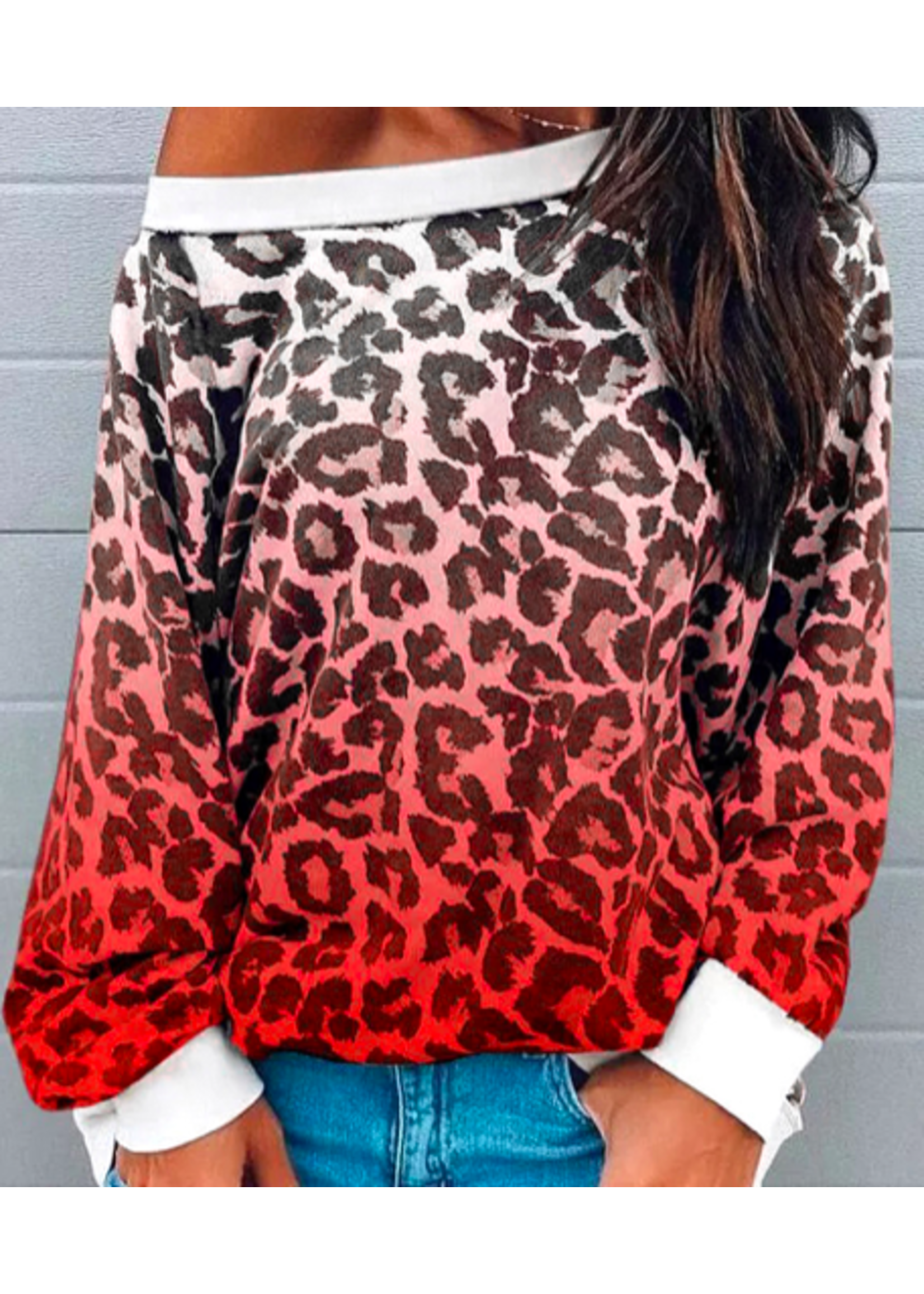 Leopard Ombre sweatshirt