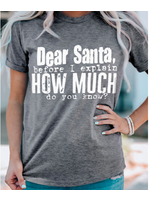 Grey Dear Santa How Much