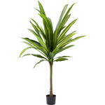 KARE DESIGN Deco Plant Dracaena Fragrans 180cm
