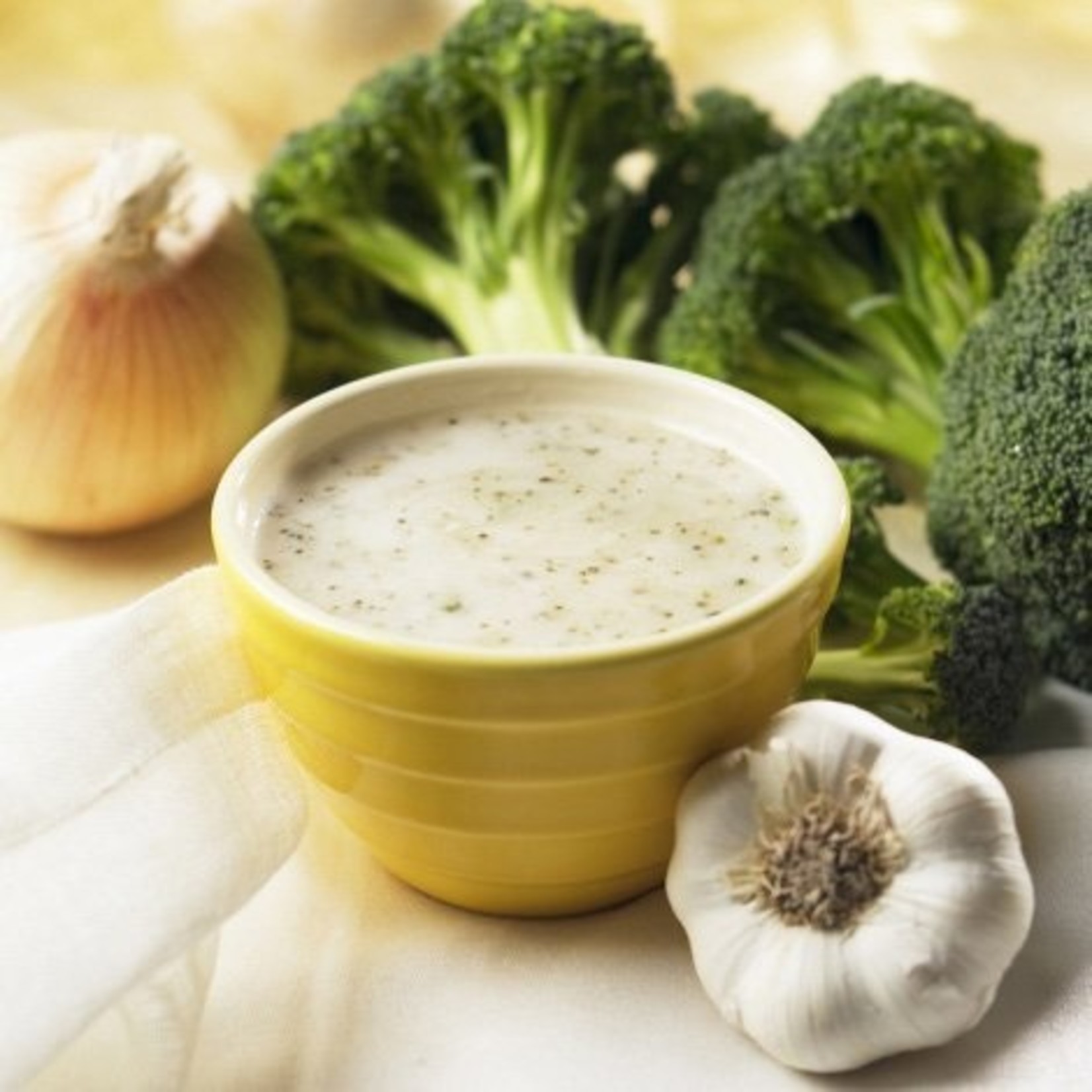 HealthWise HealthWise High Protein Cream of Broccoli Soup