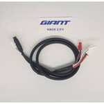 Giant E-Bike Main Wire MY19+ G 730MM