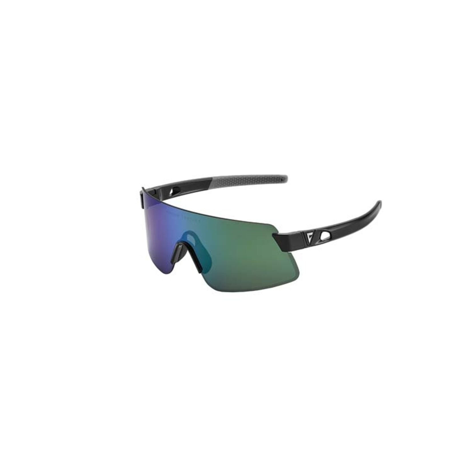 Giant Helio Black Frame Polarvis