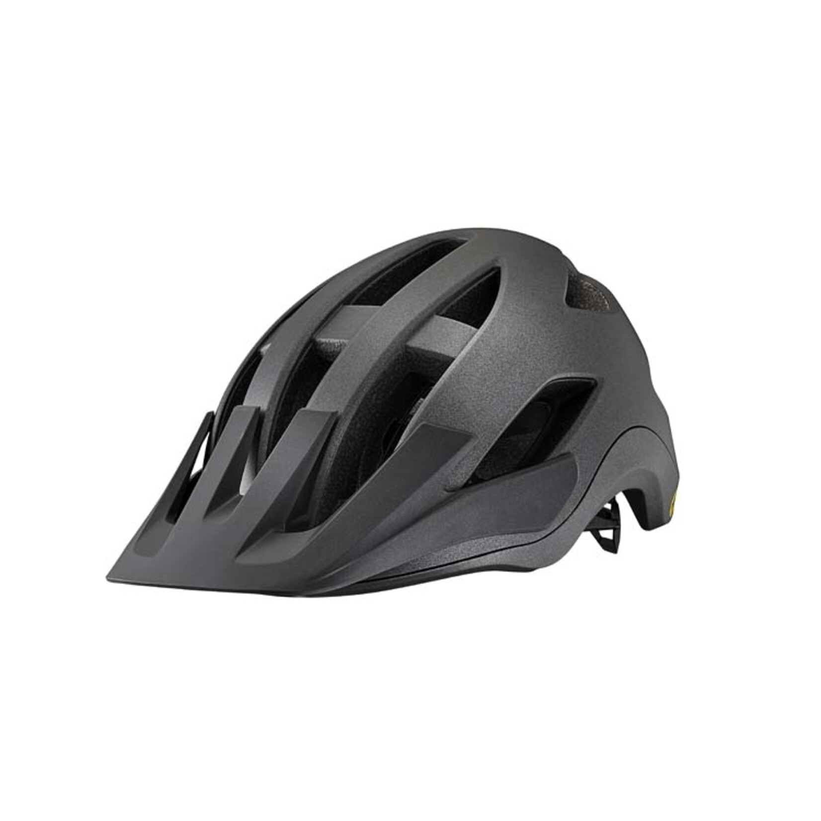 Giant Roost MIPS M (55-59 cm) Matte Black Diamond