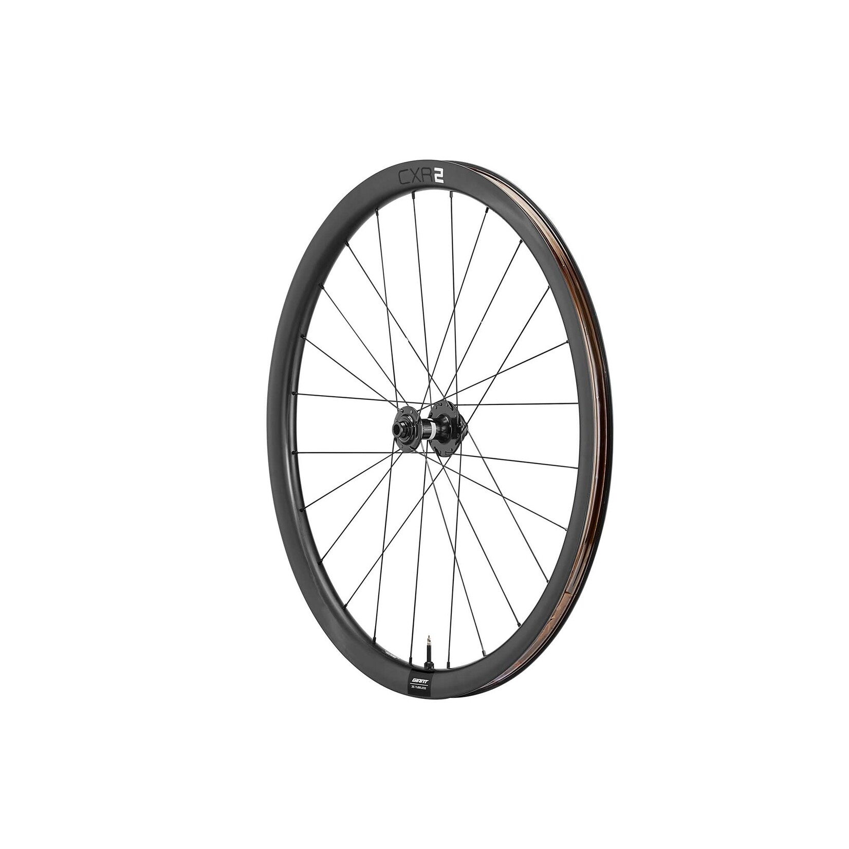 Giant CXR 2 - Front Front 100x12 Thru Axle