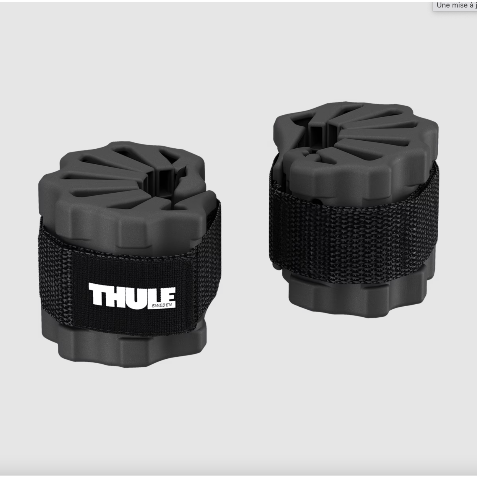 Thule Thule bike protector