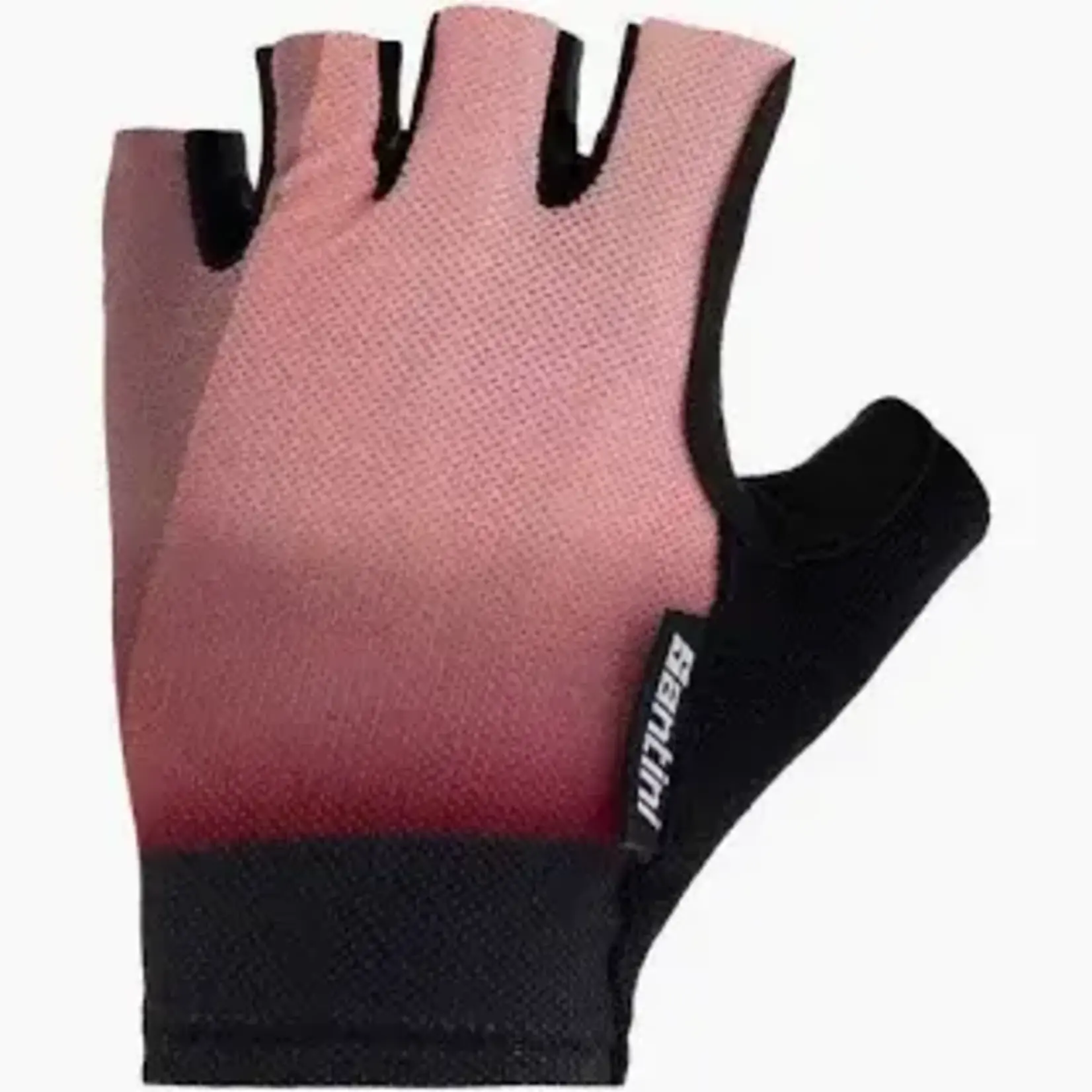 Santini Gant court Luce Beige XL