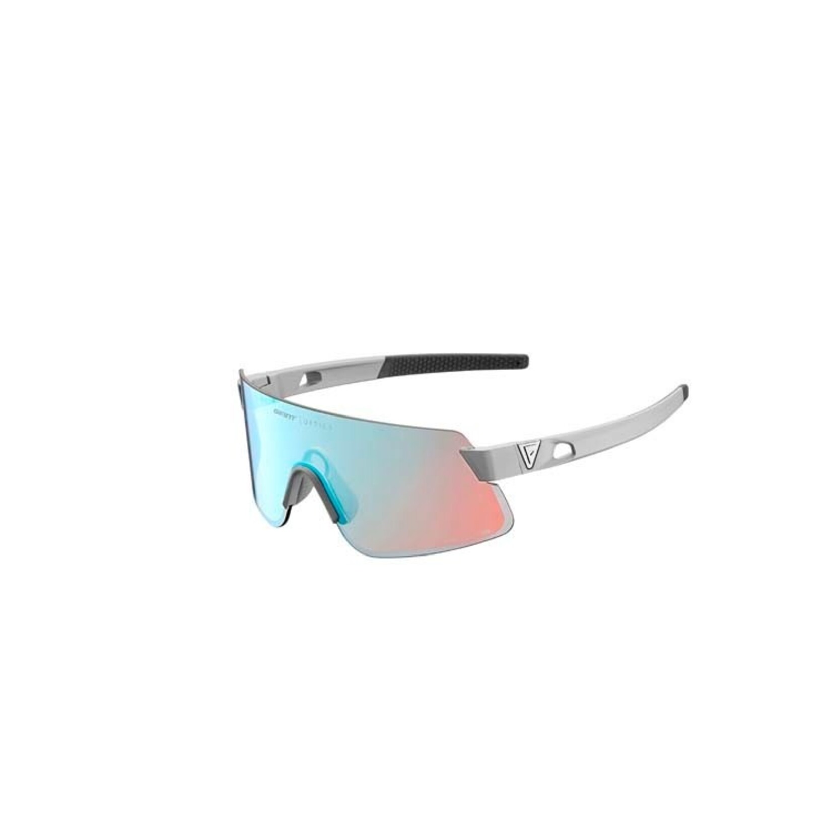 Giant Helio Silver Frame Fotovis