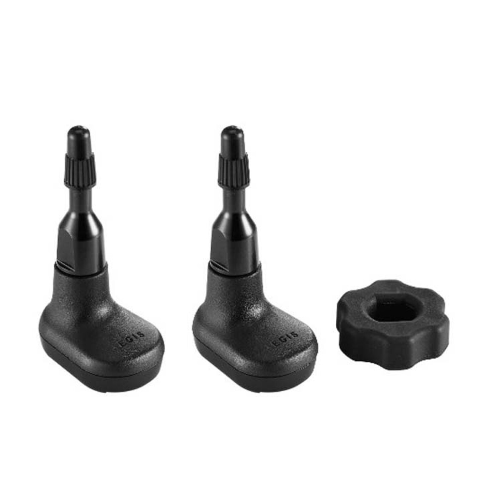 Giant Aegis Tire Pressure Monitor