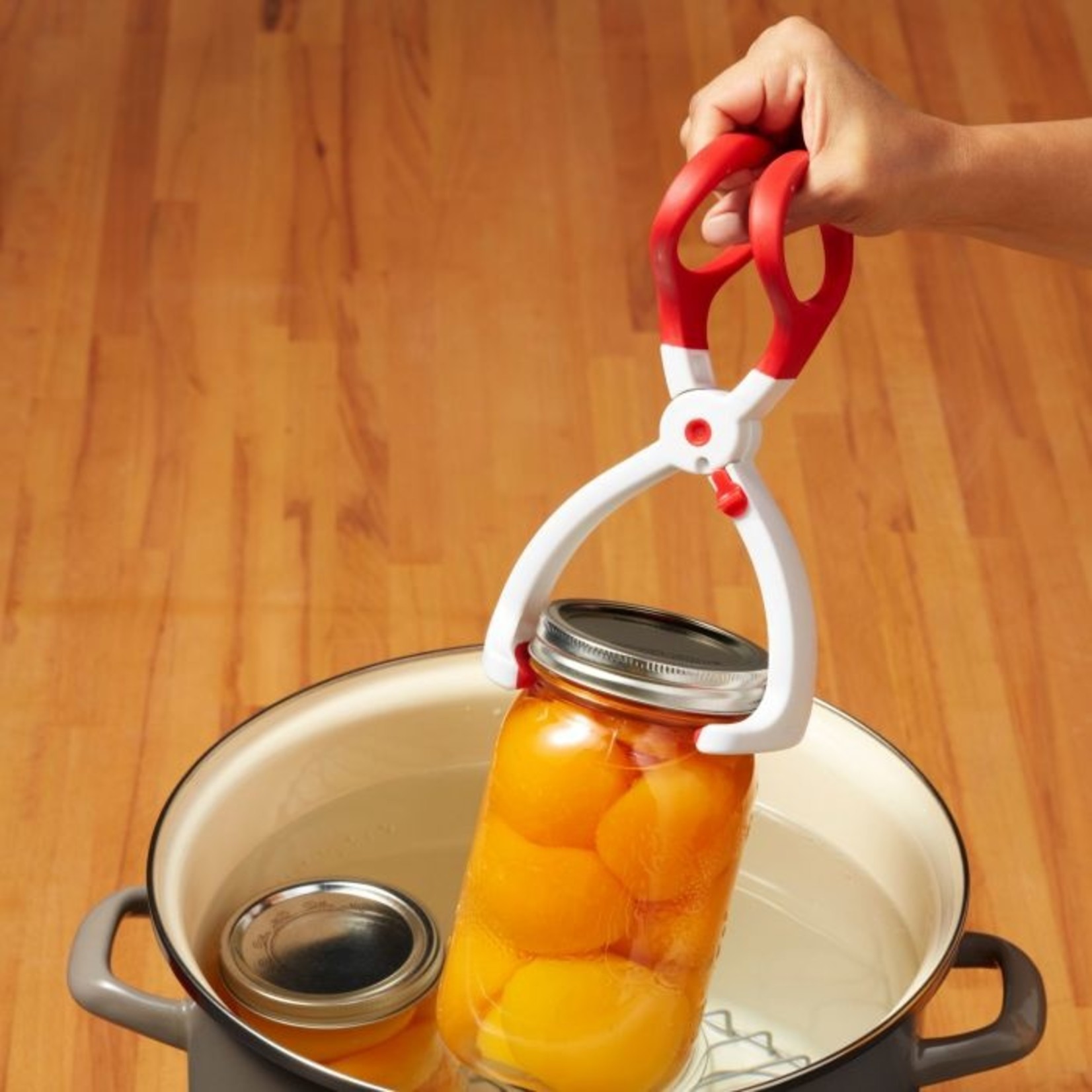 STARFRIT 94281 - STARFRIT PINCE A BOCAUX nd