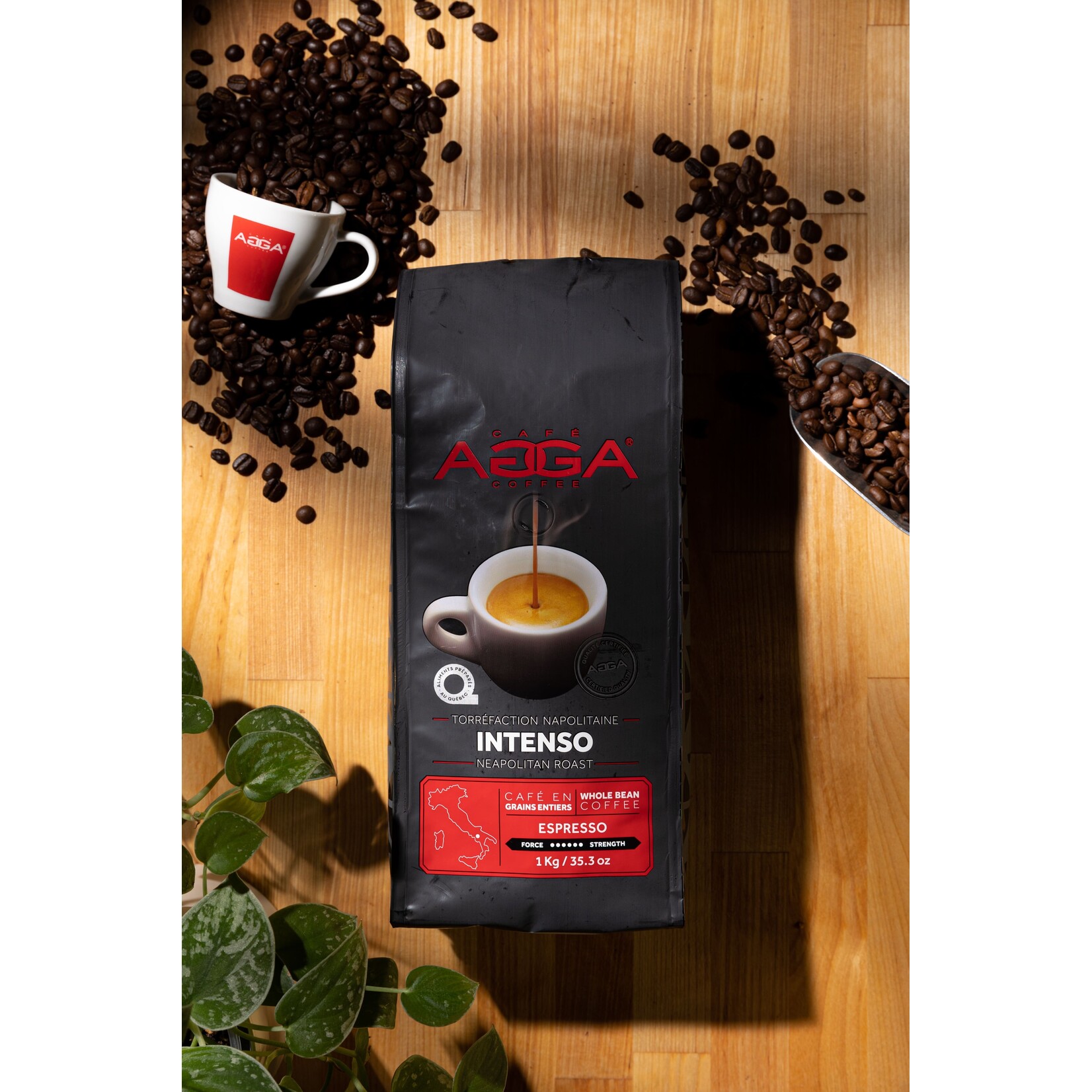 AGGA IN510000G34 - CAFE INTENSO GRAINS 1KG AGGA
