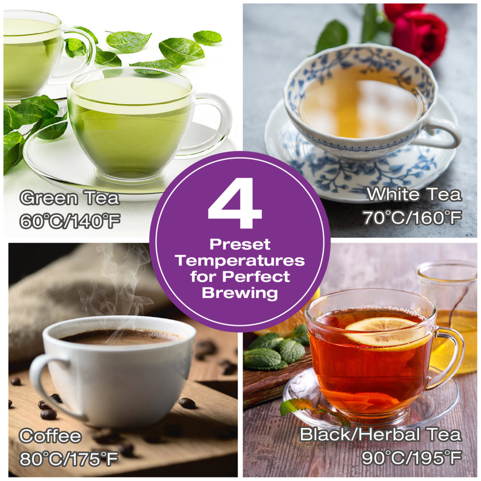 SALTON GK1758 - BOUILLOIRE EN VERRE 1.7L TEMP. AJUSTABLE PANIER A THE SALTON