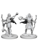 Wizkids Pathfinder Elf Male Sorcerer