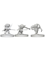 Wizkids Pathfinder Goblins