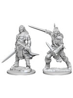 Wizkids Pathfinder Human Male Fighter