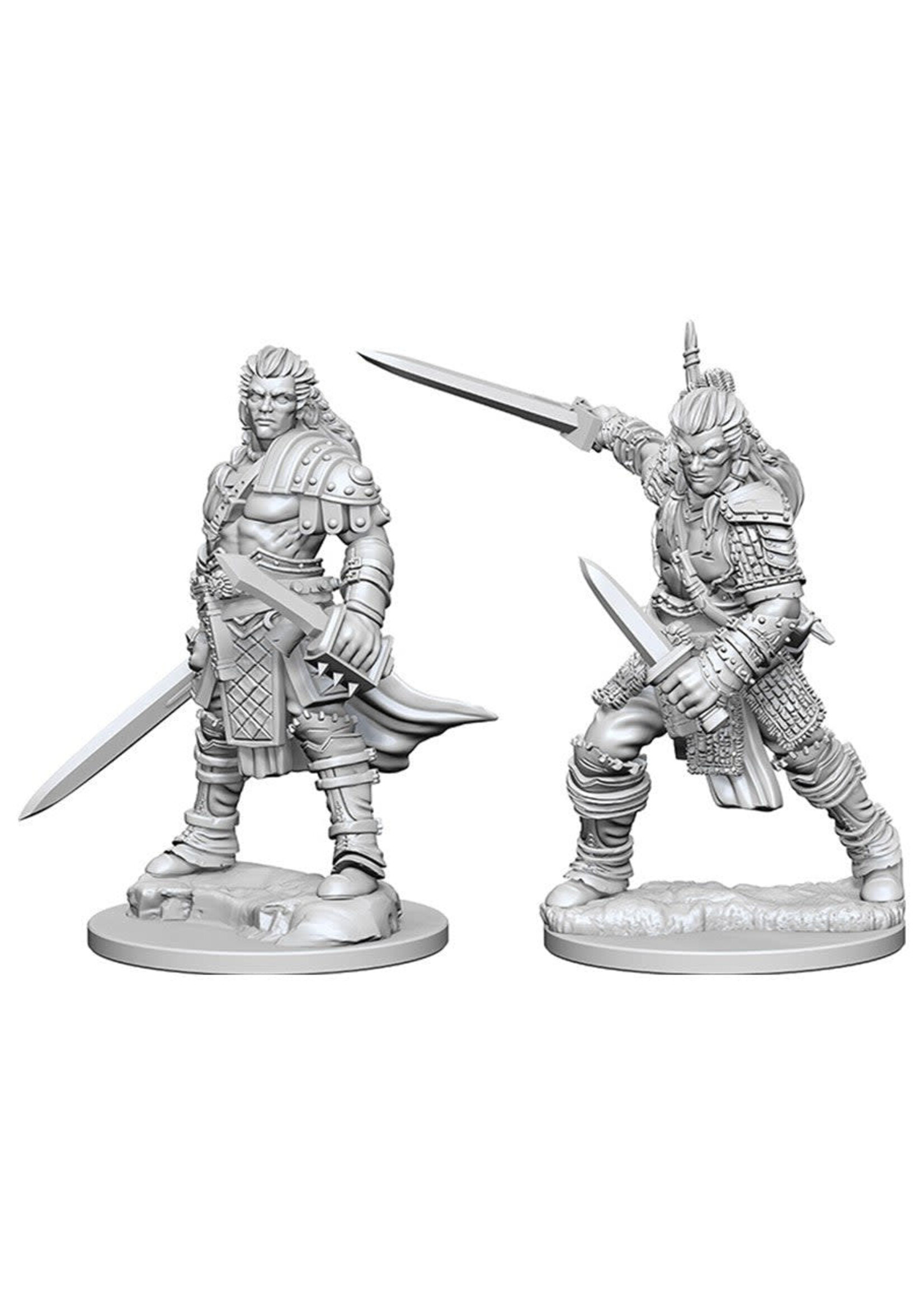 Wizkids Pathfinder Human Male Fighter