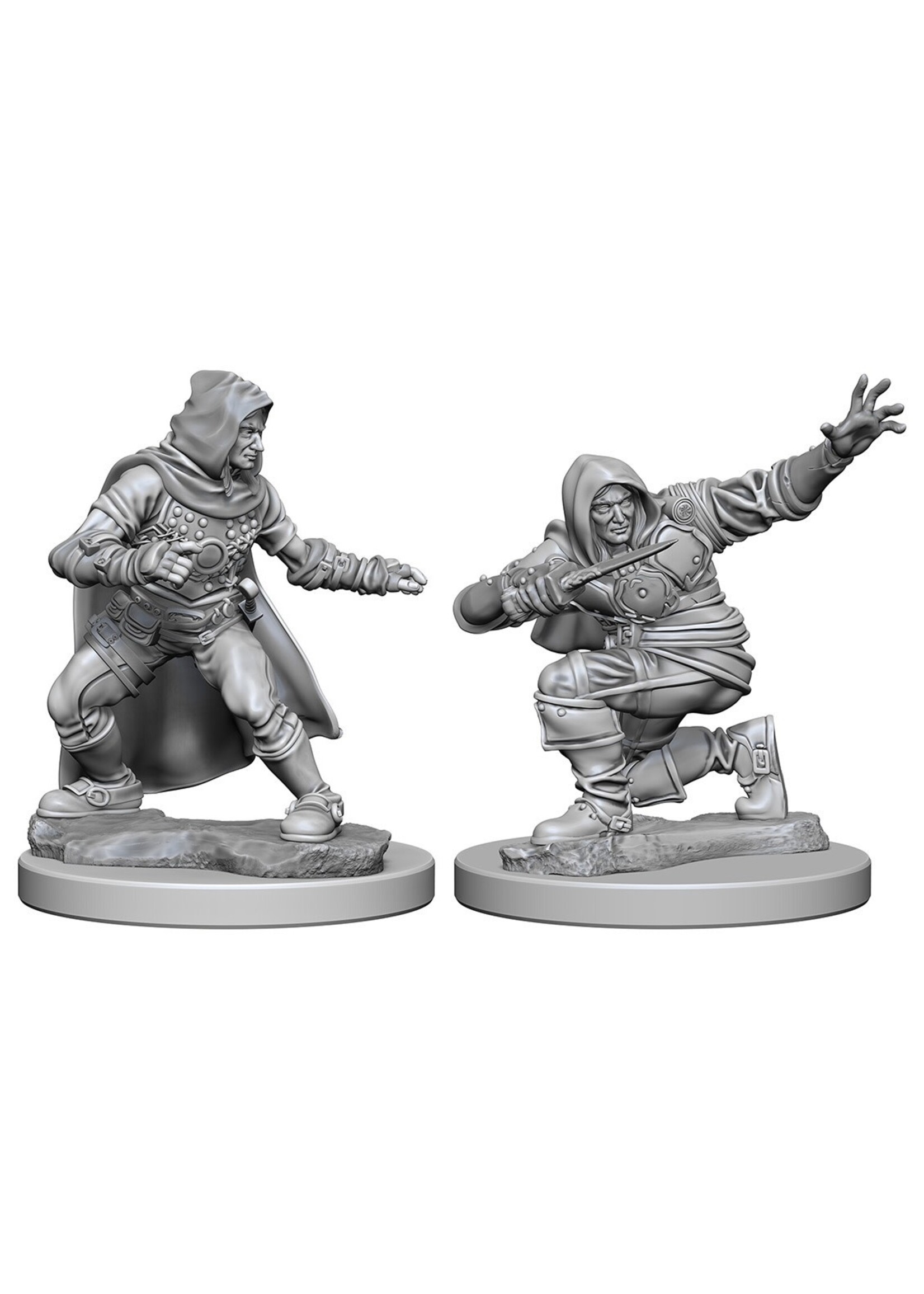 Wizkids Pathfinder Human Male Rouge