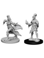 Wizkids Pathfinder Elf Female Sorcerer