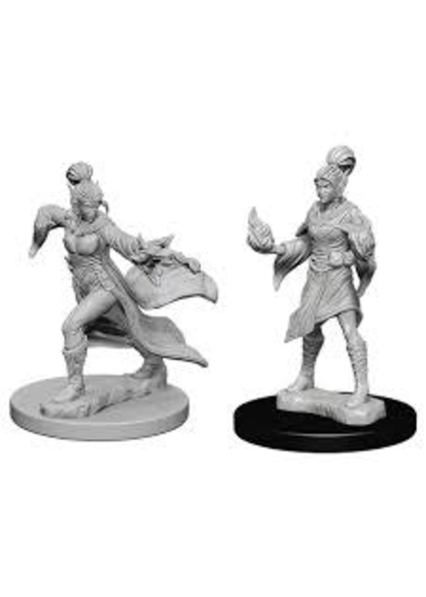 Wizkids Pathfinder Elf Female Sorcerer