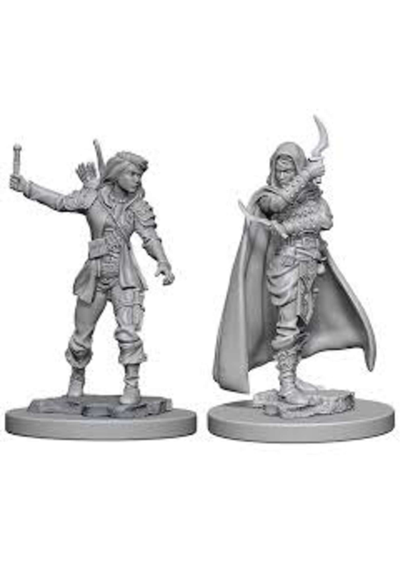 Wizkids Pathfinder Human Female Rouge