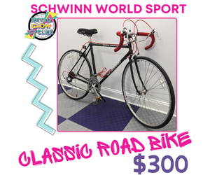 1990 schwinn cheap world sport