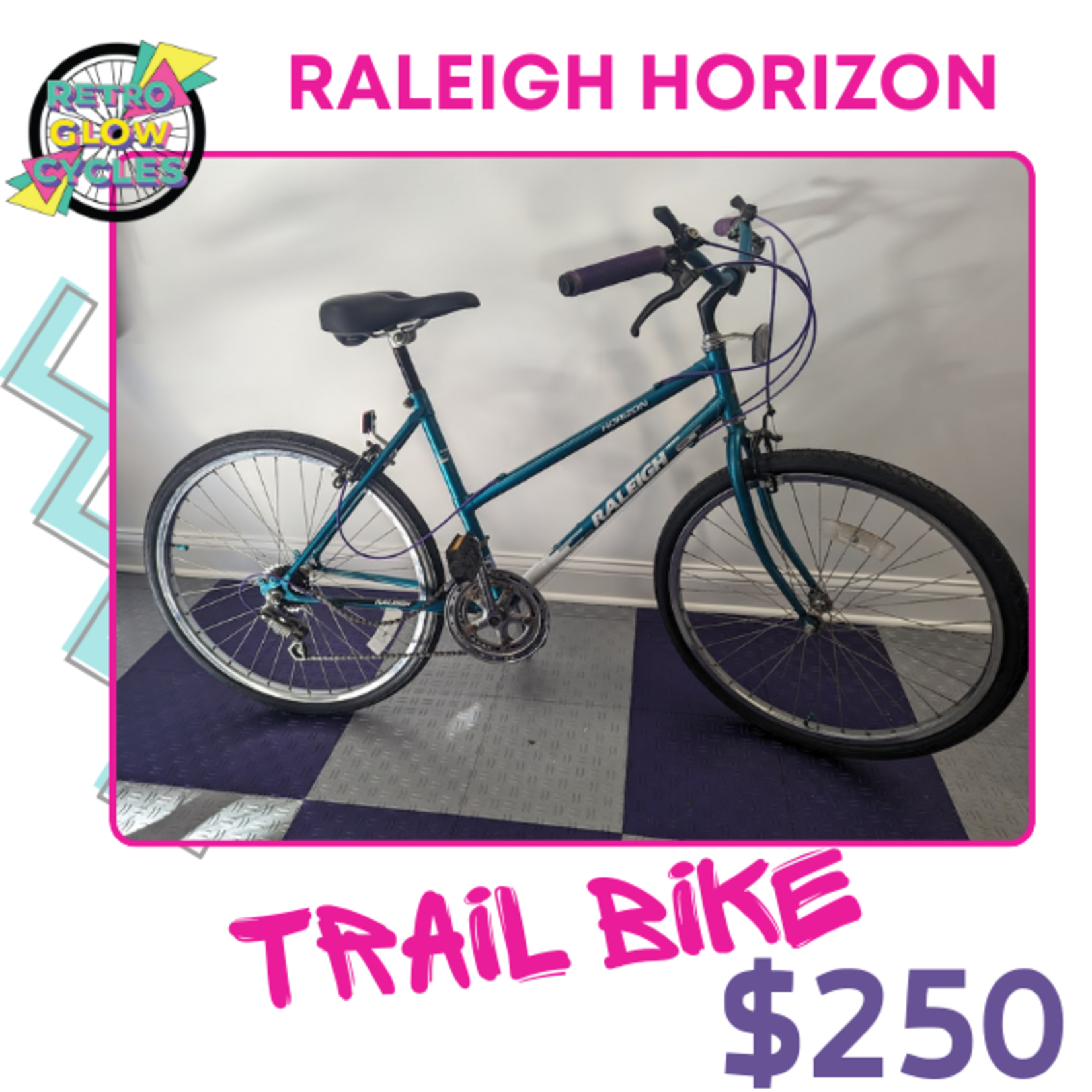 Raleigh Raleigh Horizon (Small Frame)