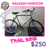 Raleigh Raleigh Horizon (Large Frame)
