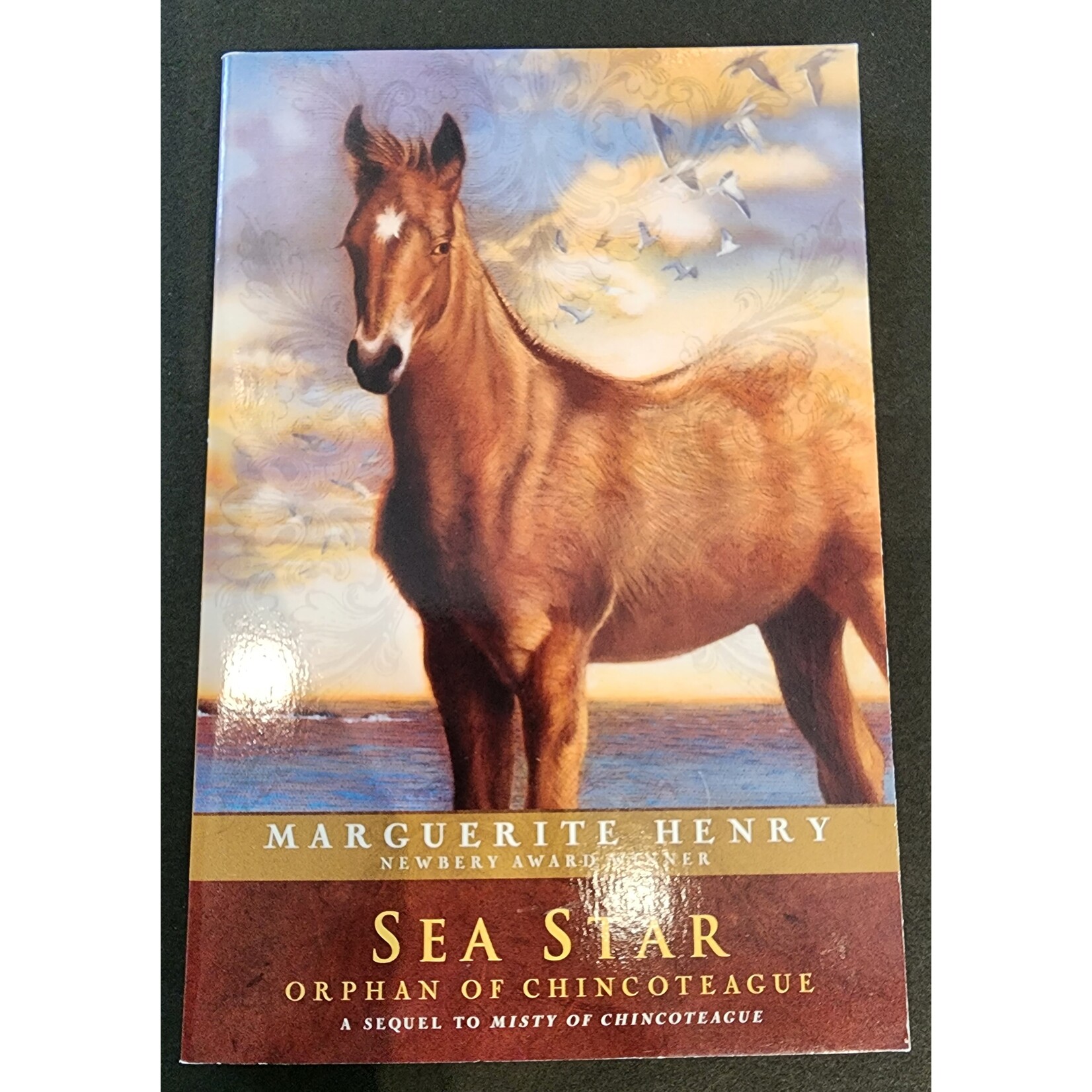 Marguerite Henry Sea Star Paperback