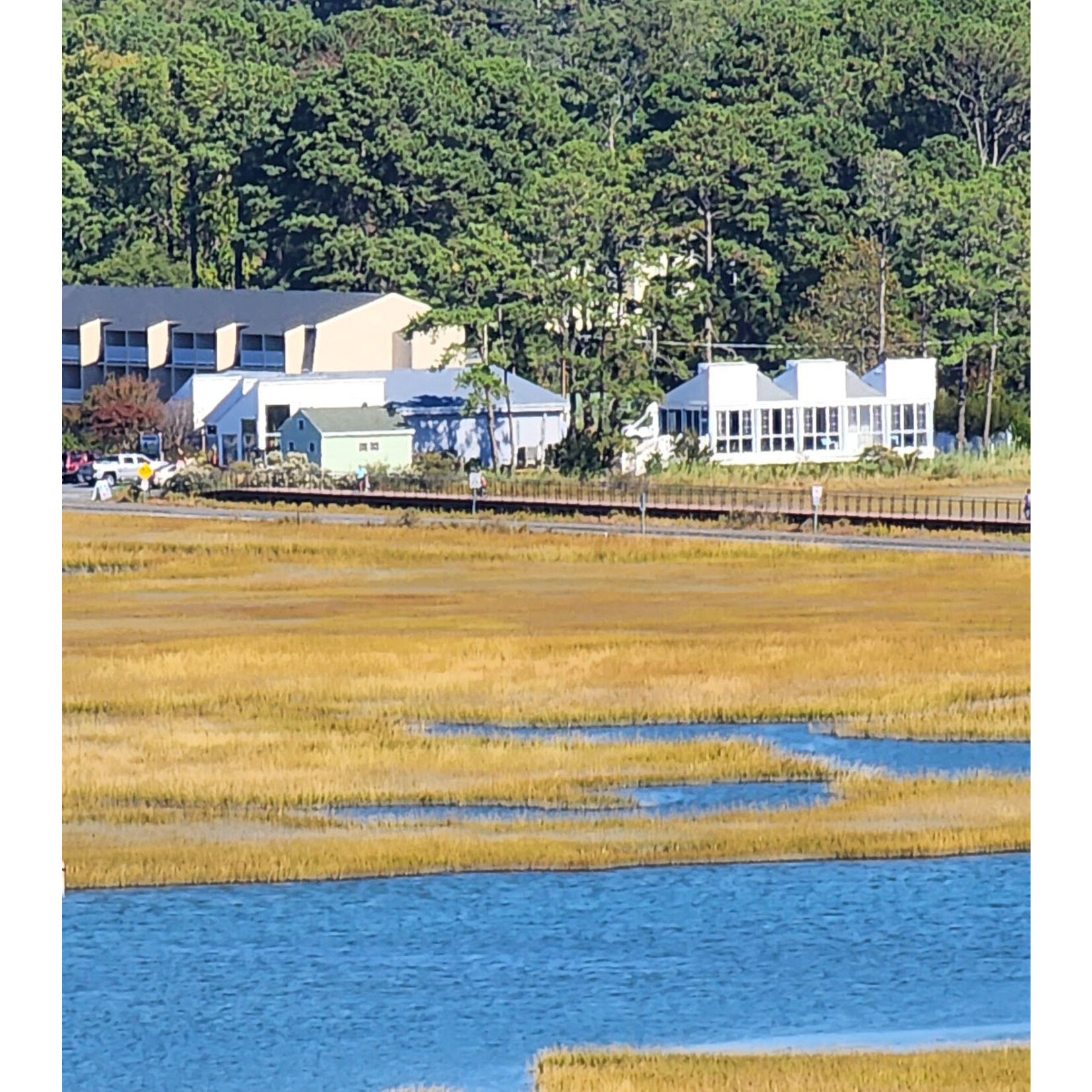 Museum of Chincoteague Island Membership - Sustaining