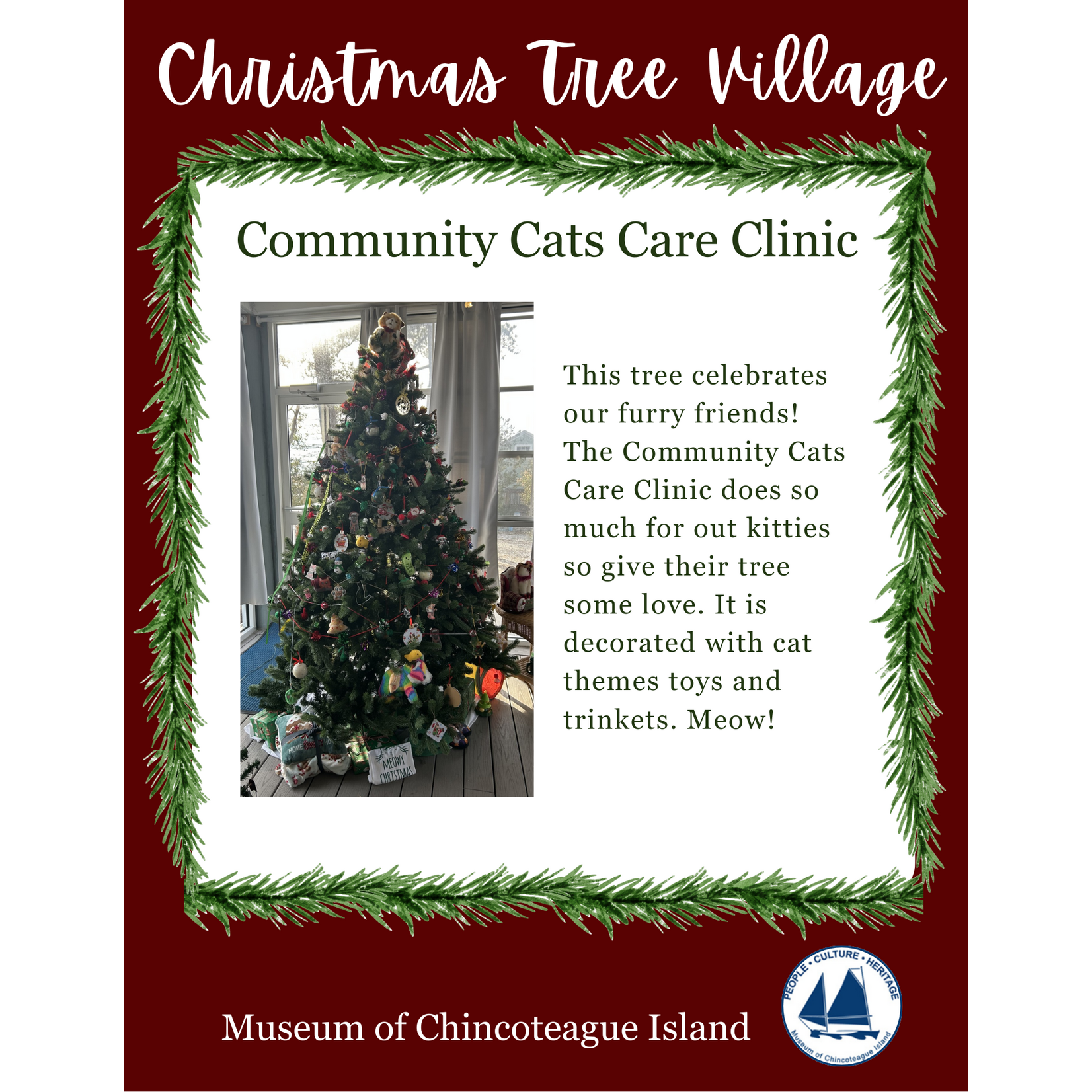 CTV: Community Cats Care Clinic
