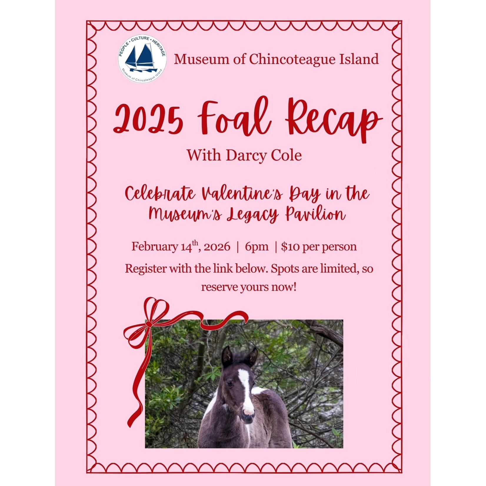 2025 Foal Recap with Darcy Cole
