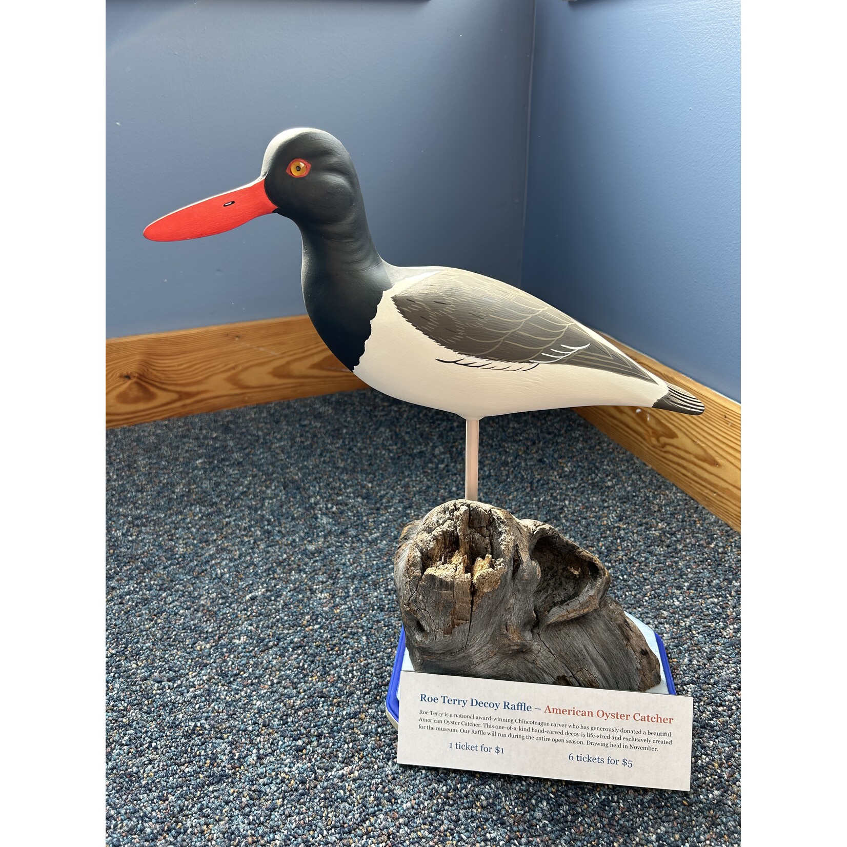 2026 Raffle - Decoy 6 for $5