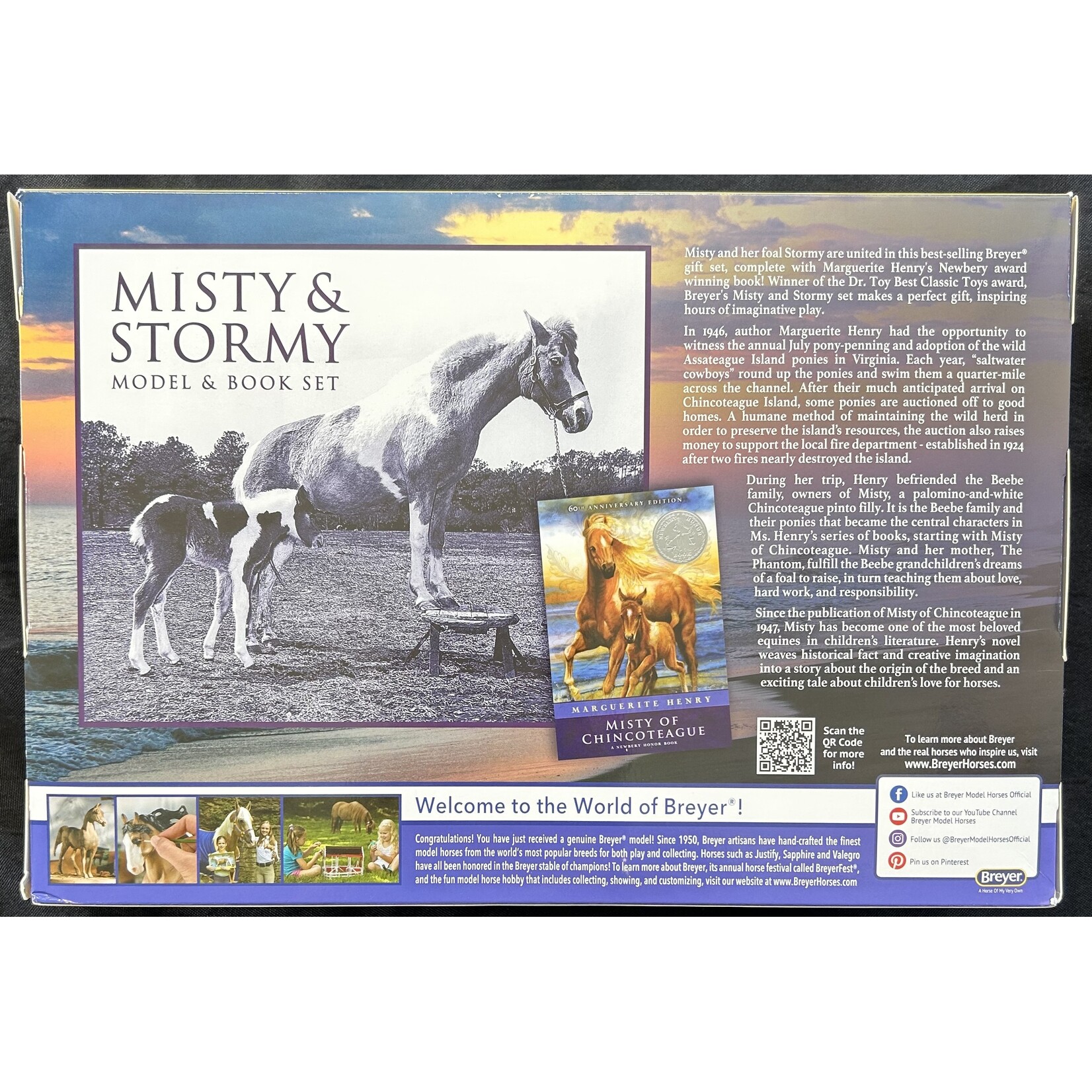 Breyer Breyer Misty & Stormy Book Set