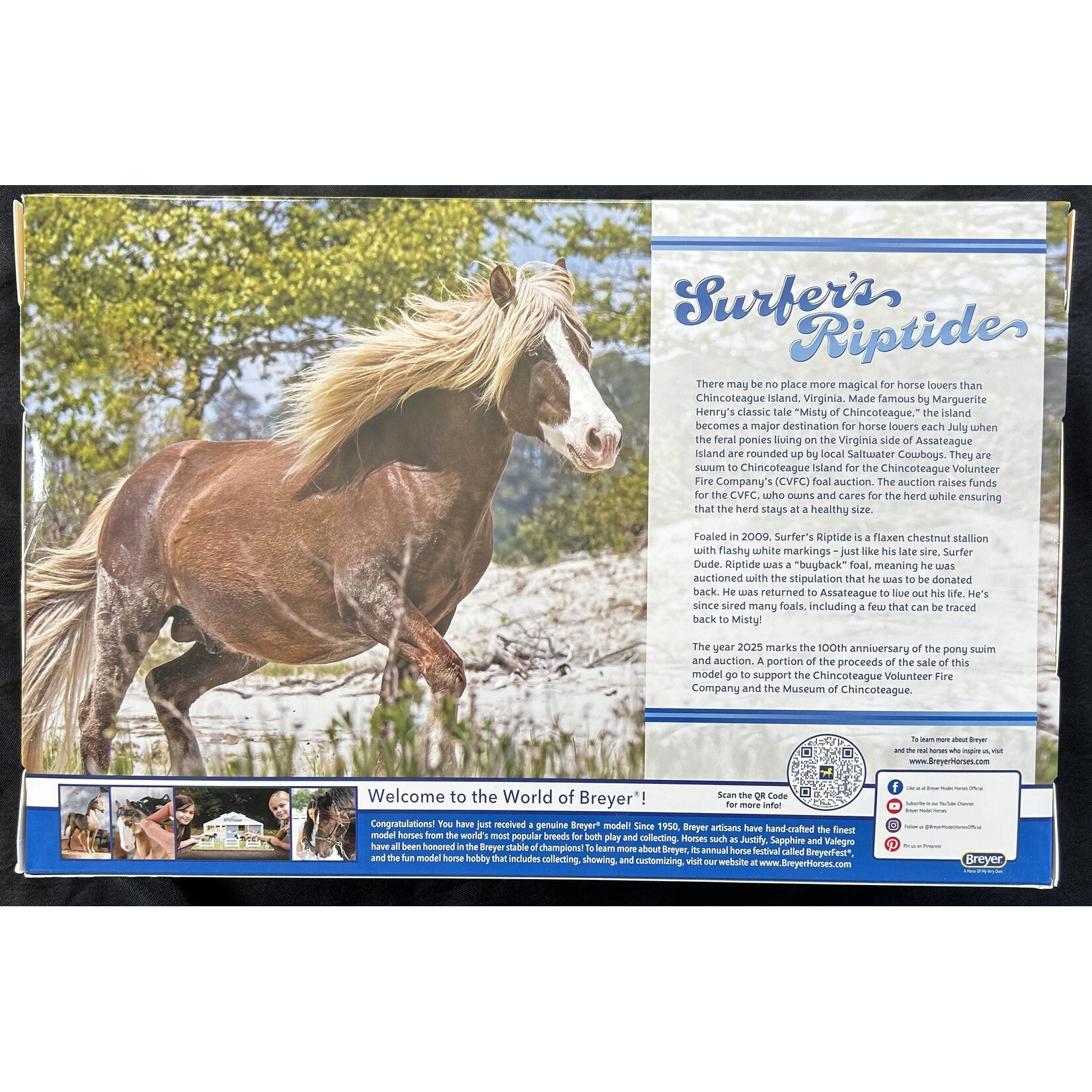 Breyer Surfer's Riptide