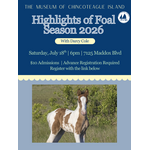 Highlights of Foal Season 2026 with Darcy Cole