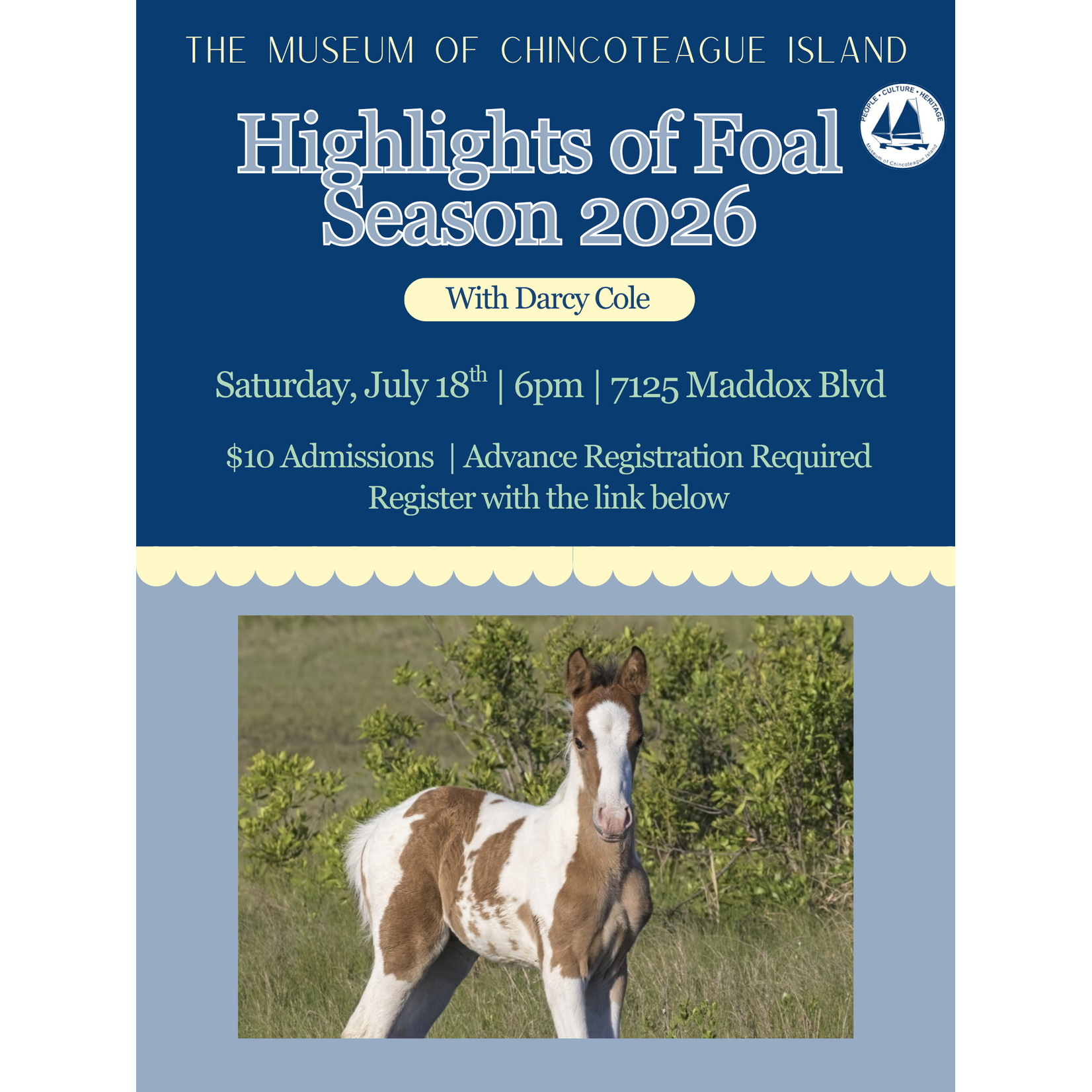 Highlights of Foal Season 2026 with Darcy Cole