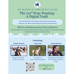The 101st Pony Penning: A Digital Vault