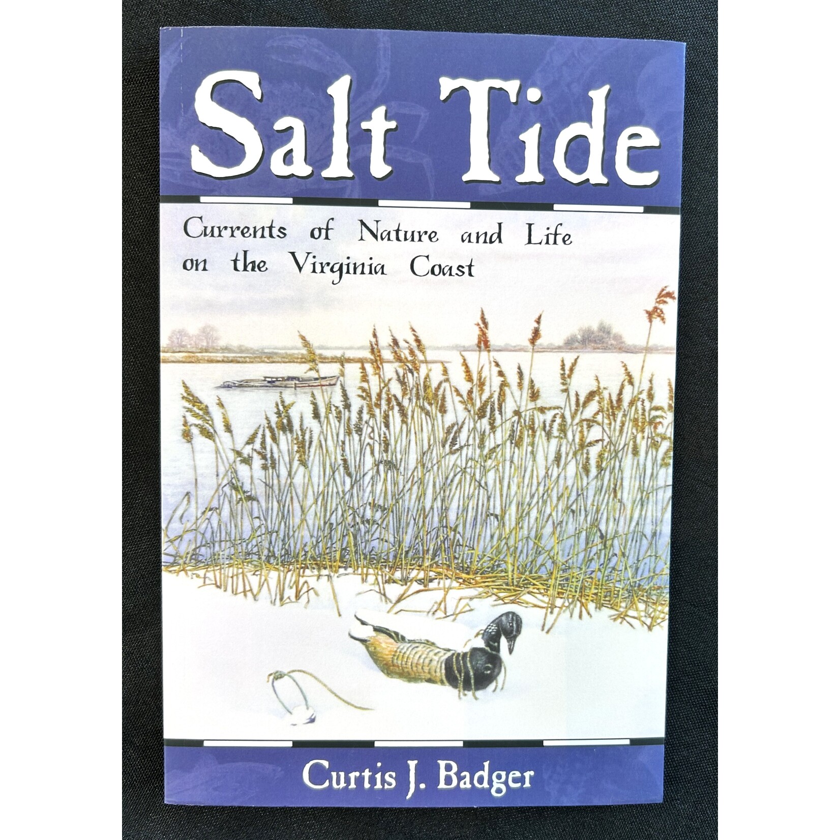 Curtis Badger Salt Tide
