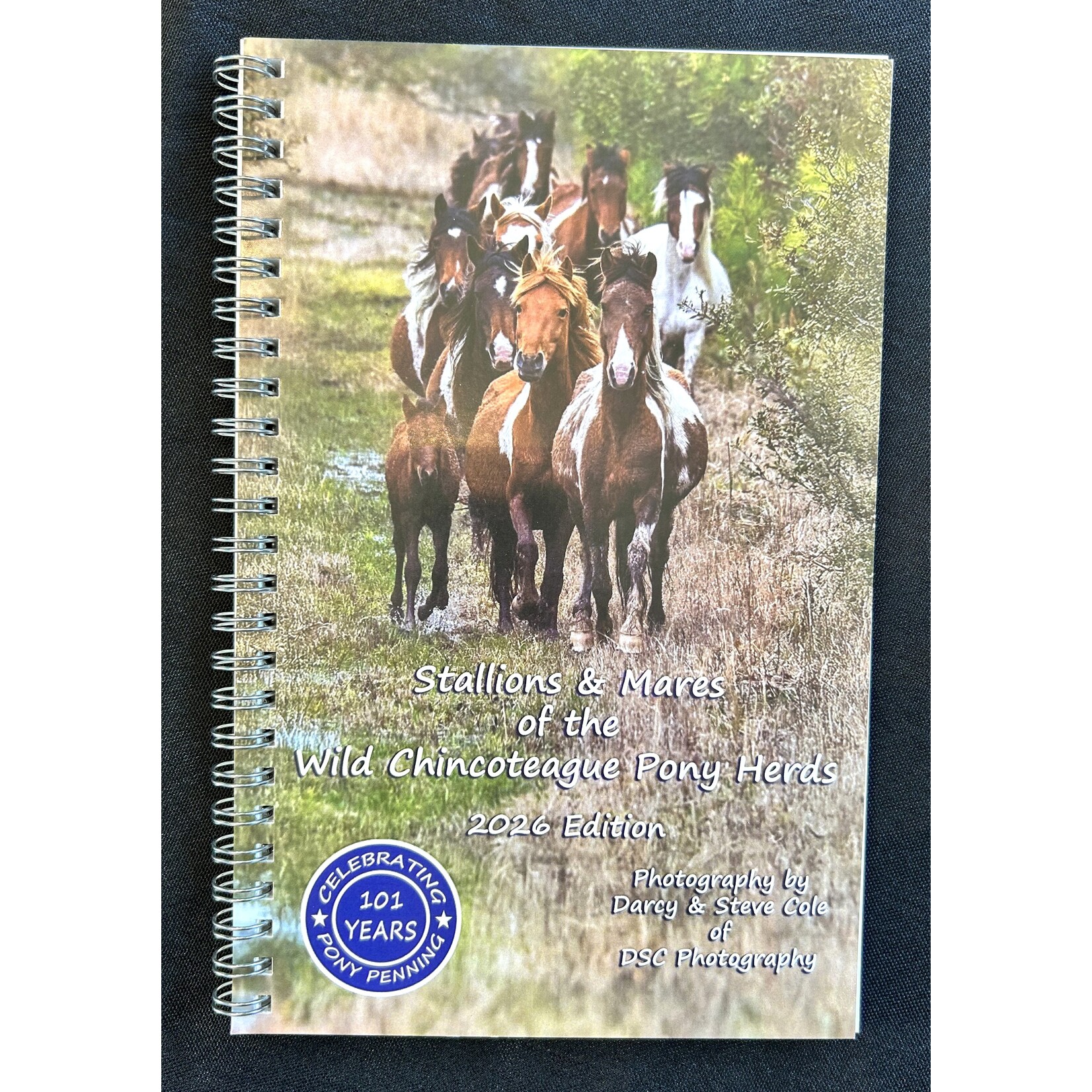 DSC DSC Mares & Stallions ID Book