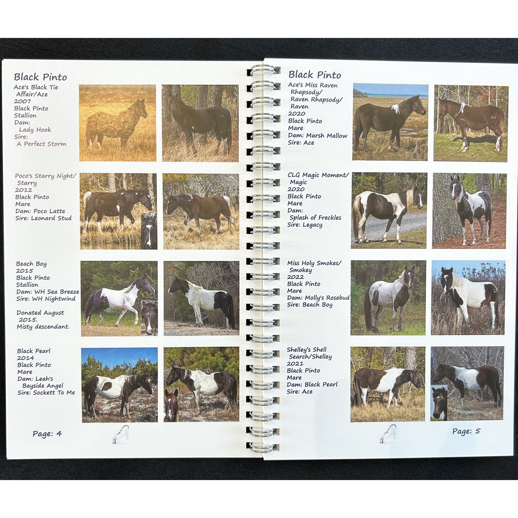 DSC DSC Mares & Stallions ID Book