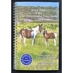 2026 Foals, DSC