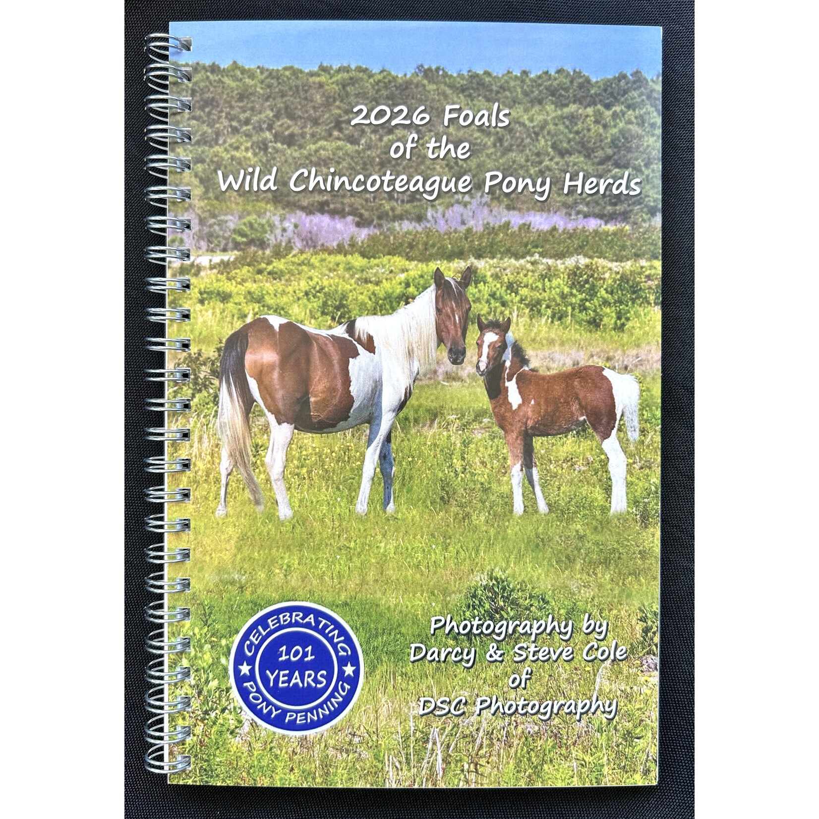 2026 Foals, DSC