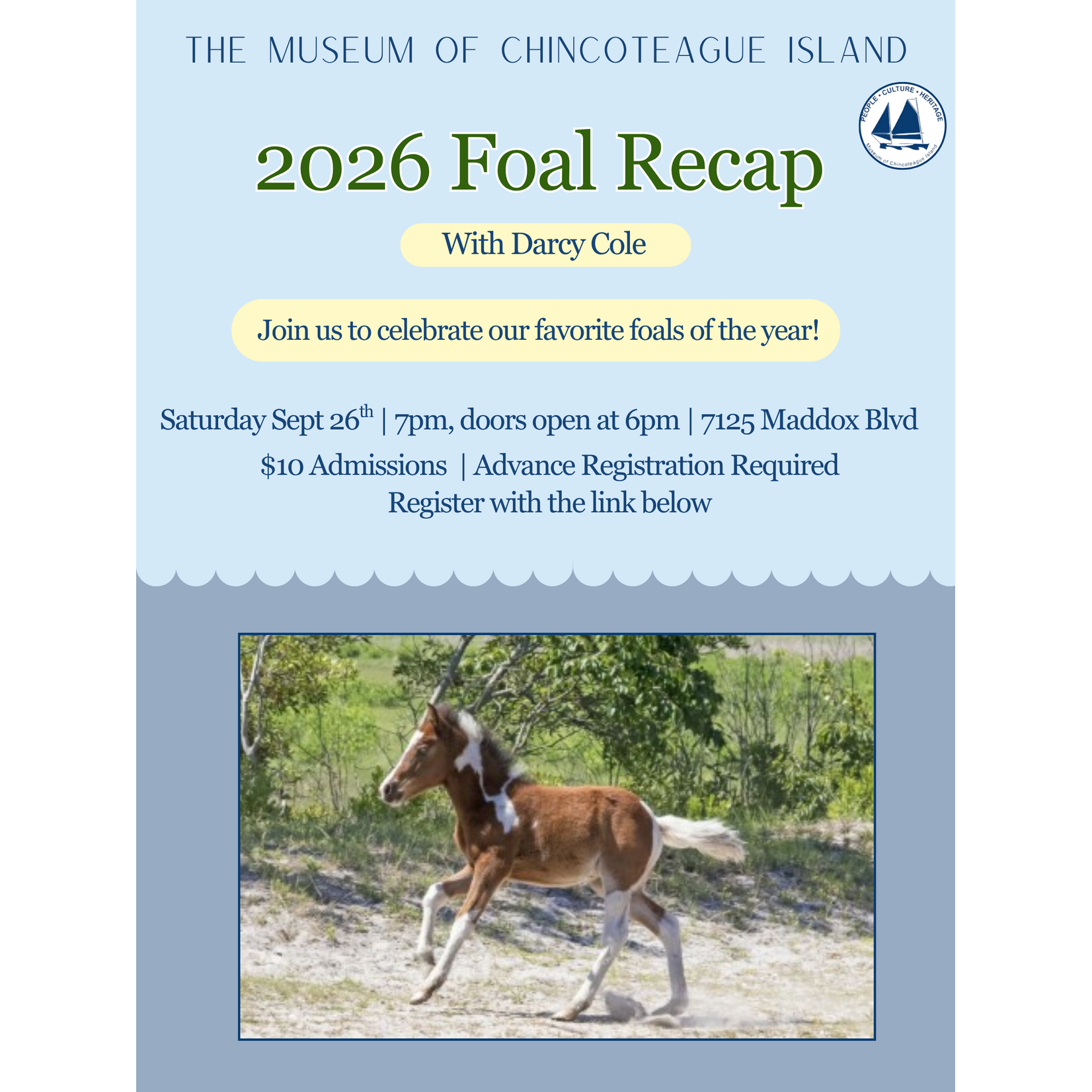 Fall Foal Recap with Darcy Cole 2026